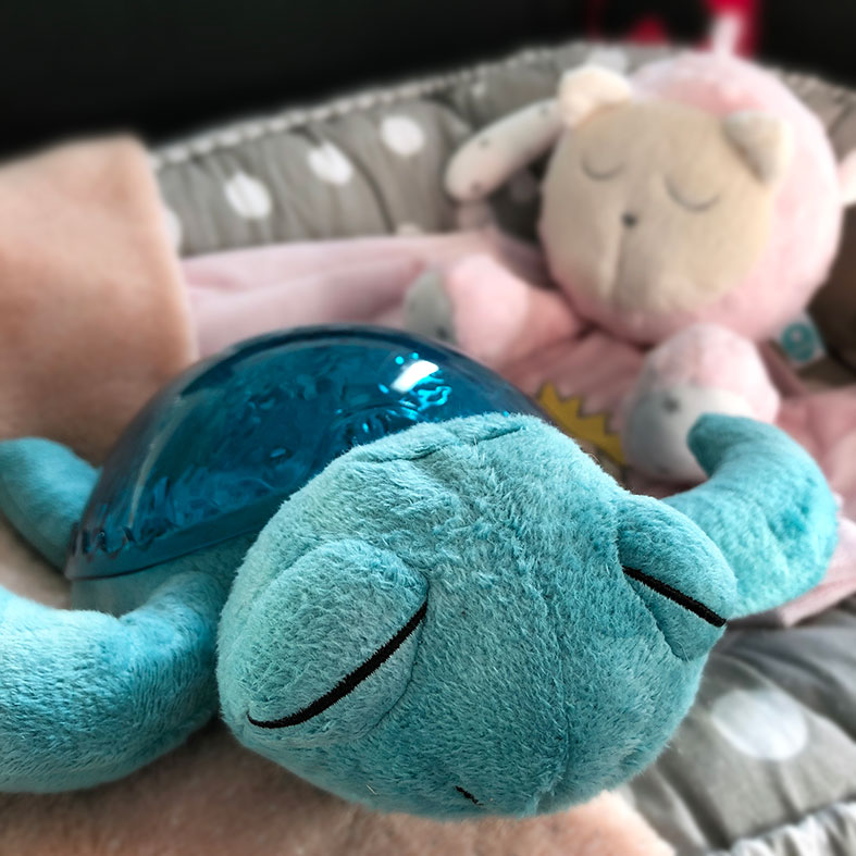 magic-turtle
