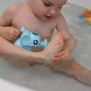 arrosoir elephant wish